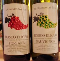 Wines in Ferrara.JPG